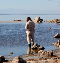 Hans Baumann collecting information at the Salton Sea