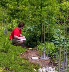 A man crouches among plants and shrubs with a clipboard