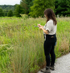 2019 CSI Research Assistant Chloe Nagraj observes a lush green landscape at Glenstone