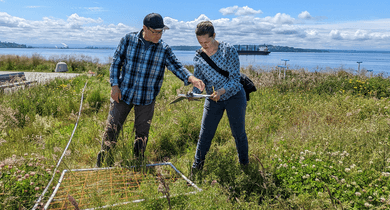 Two researchers look at a clipboard while conducting a transect study in a park