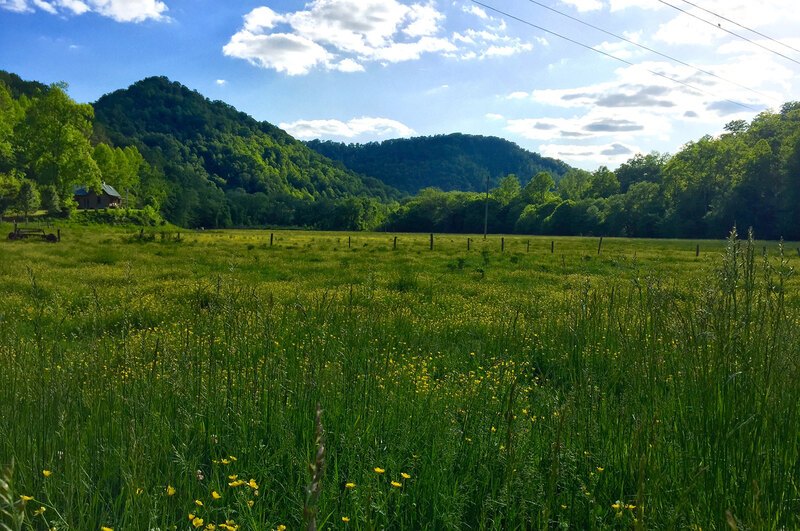 A panorama of Eastern Kentucky Holler