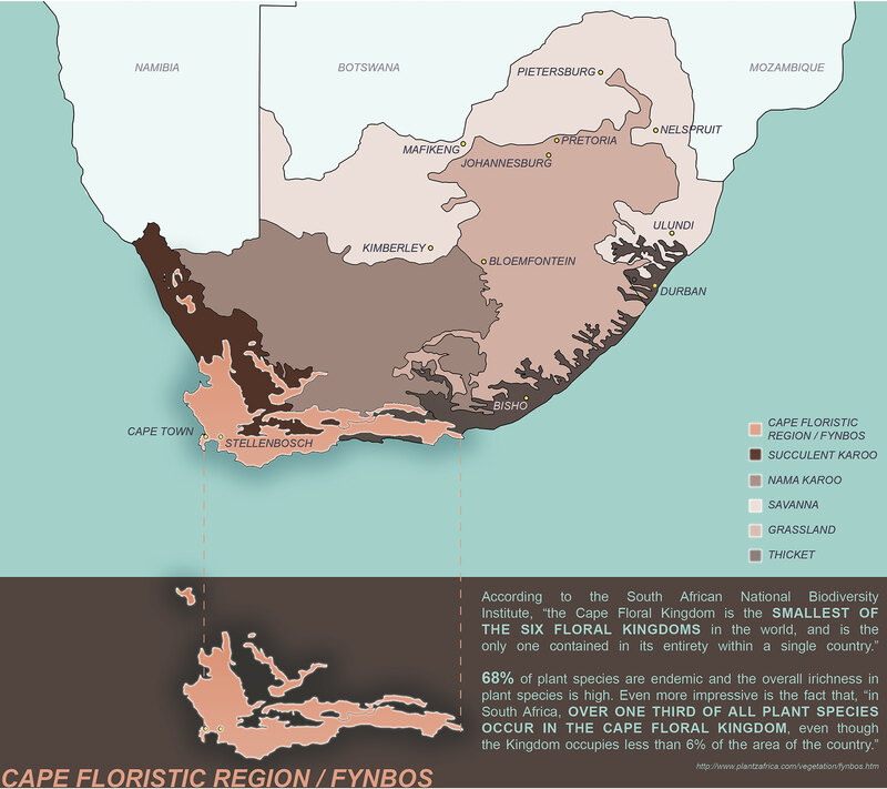 A map indicating the location of the Cape Floristic Region in South Africa