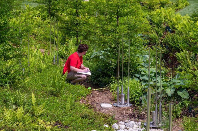 A man crouching among plants and shrubs with a clipboard