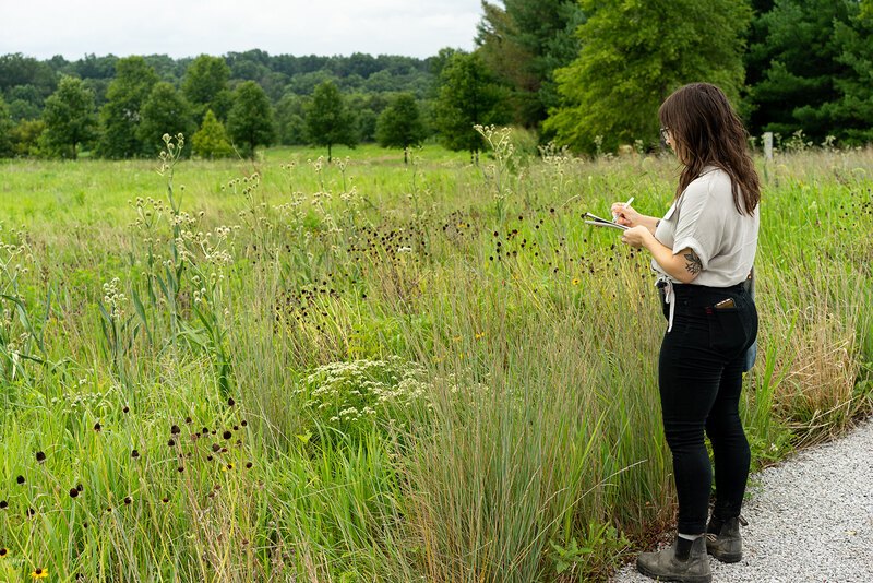 Chloe observes a lush green landscape at Glenstone