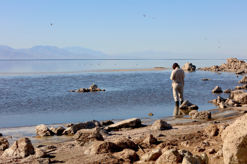 Hans Baumann collecting information as he wades is in the Salton Sea