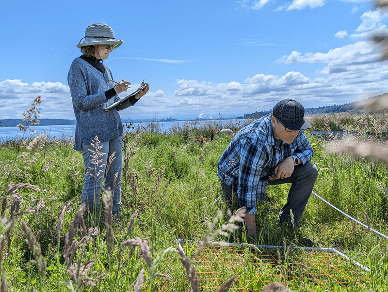 Researchers take measurements in the prairie at Dune Peninsula.