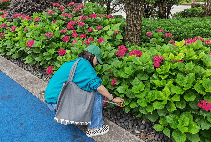 A research assistant takes measurements in a garden.