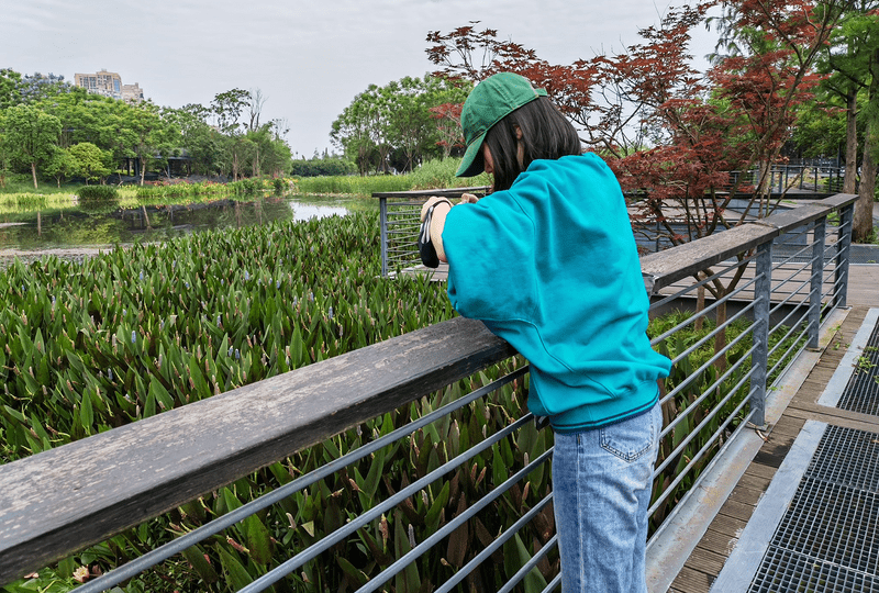 A research assistant takes photographs from an elevated walkway.