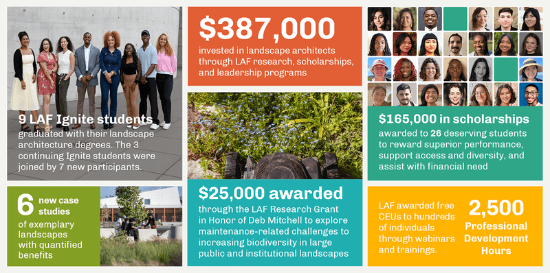 Colorful boxes with images and numbers from LAF's 2025 Annual Report