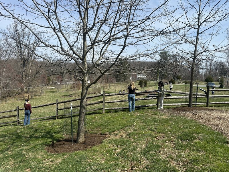 three people observe an open field behind a wooden fence surrounded by branchy trees
