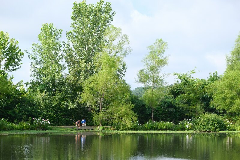 a picturesque green water landscape with two people in the background