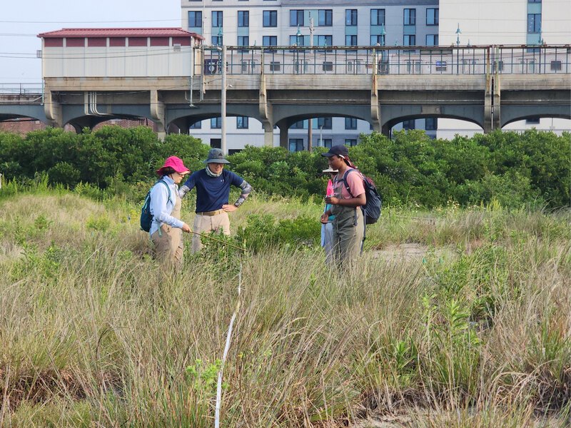 a group of 4 people stand in a green field with a bridge and building in the background