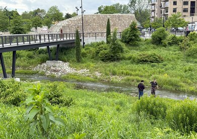 Two researchers take measurements in a stream, with green slopes, a bridge, and a park building visible on the land above the stream.