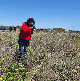 A research assistant photographs a transect demarcated by a measuring tape across a sandy vegetated area.