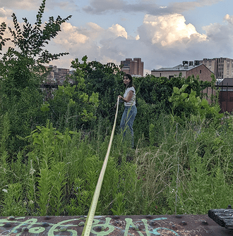 A student Research Assistant with a measuring tape in an urban patch of vegetation