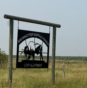 A cutout metal sign with a buffalo and the words "Brownotter Buffalo Ranch" hangs in front of ranchland