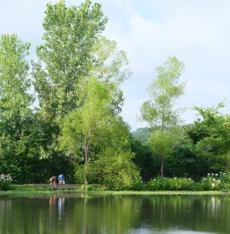 a picturesque green water landscape with two people in the background