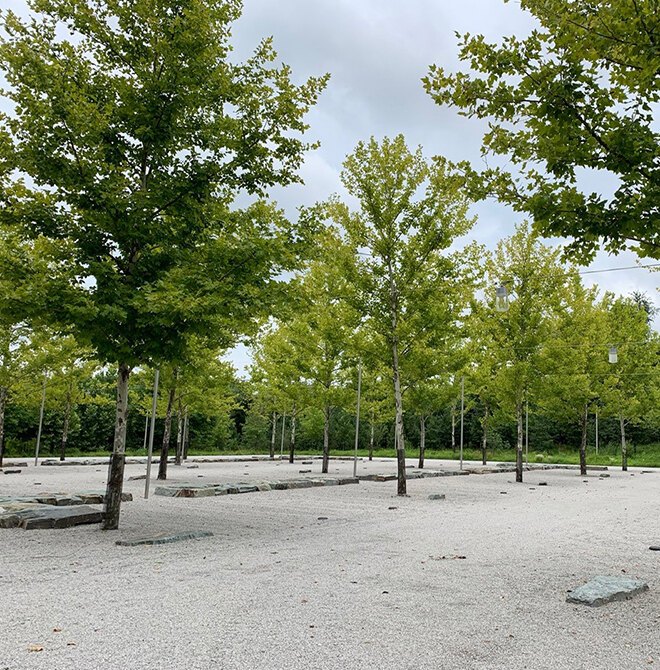 Landscape Architecture Foundation