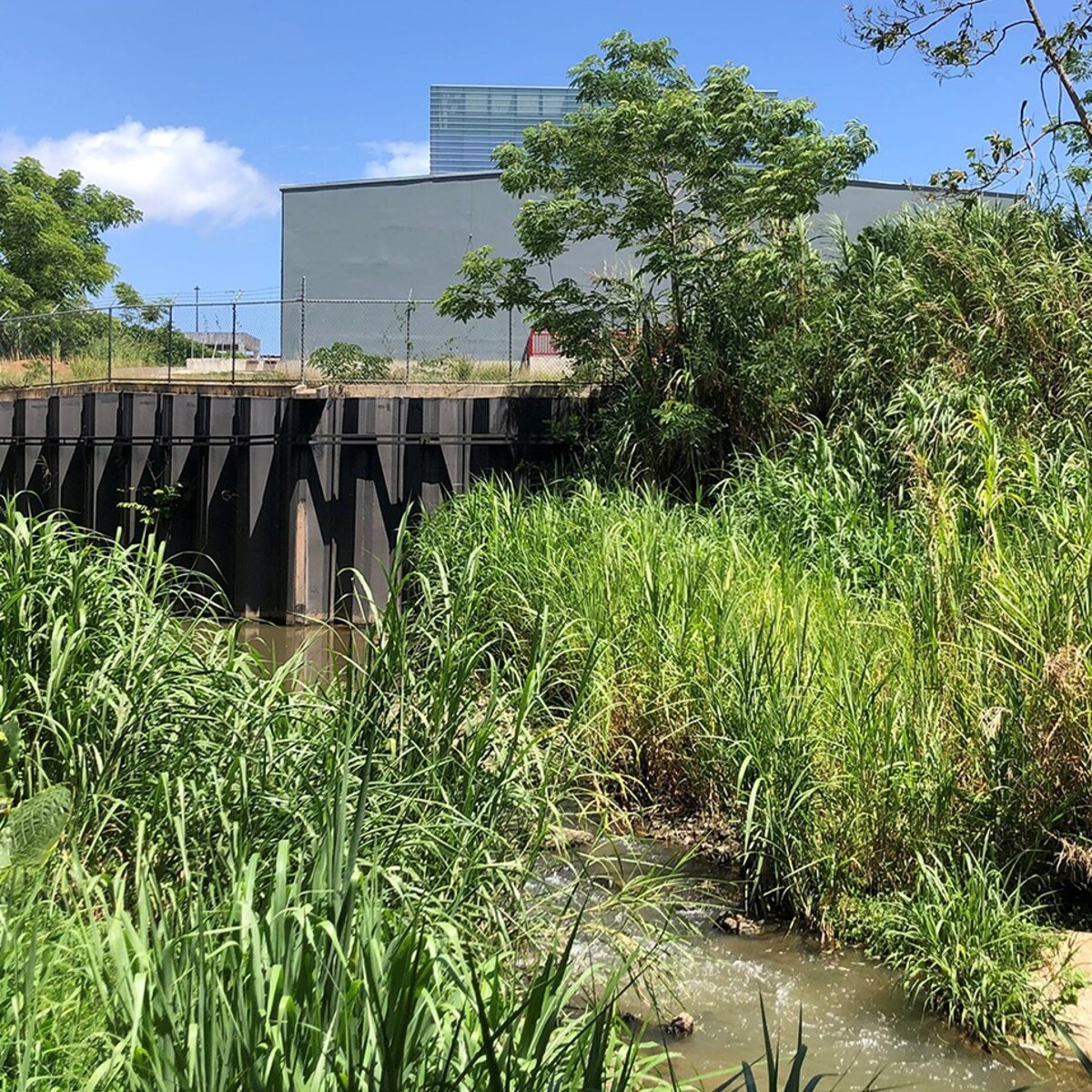 LAF Fellowship Spotlight Beyond Flood Control Landscape Architecture