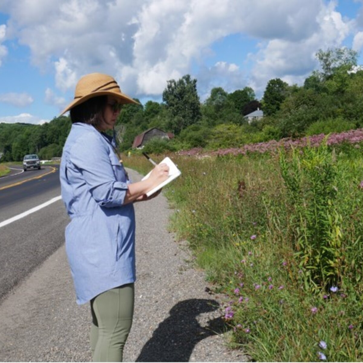 LAF Fellowship Spotlight Roadsides and Power Theory in Landscape