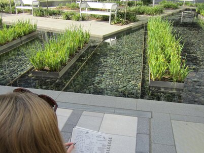 A researcher takes counts and notes in an urban plaza