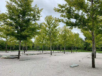 Trees in a gravel parking lot at Glenstone
