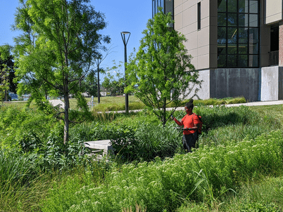 A woman with a clipboard in a rain garden holds out a sensor to take a measurement.