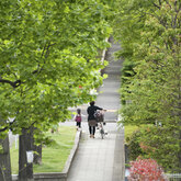 Mom and daughter walking on a tree-line sidewalk