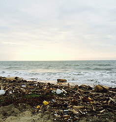 A shoreline covered with refuse