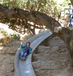 Andrea Gaffney rides down a slide that wraps around a large tree while another person looks on