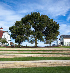 Ampitheater at Chatham University - Eden Hall Campus, Image: Bruce Damonte