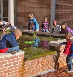 Children interact with touching pool