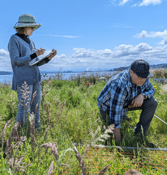 Researchers take measurements in the prairie at Dune Peninsula. 