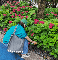 A research assistant takes measurements in a garden. 