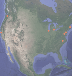 A map is shown with pins depicting LAF Ignite internship locations in the summer of 2023.